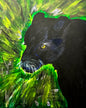 Bagheera