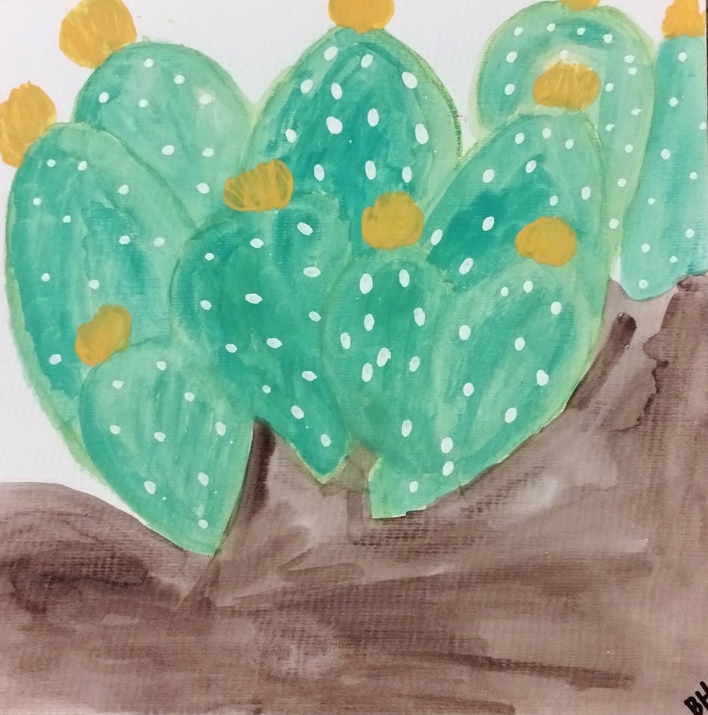 Cacti