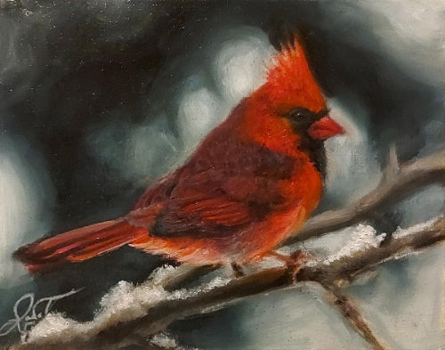 Cardinal in the Snow