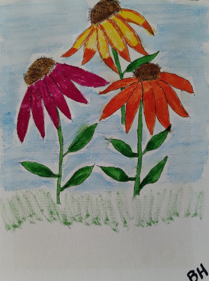 Cone Flowers