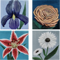 Floral Friends