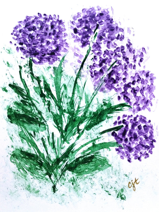 Hydrangeas