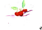 Cherries
