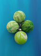 Ornaments Collection  No. 123