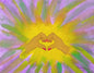 Love Always