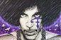 Purple Prince